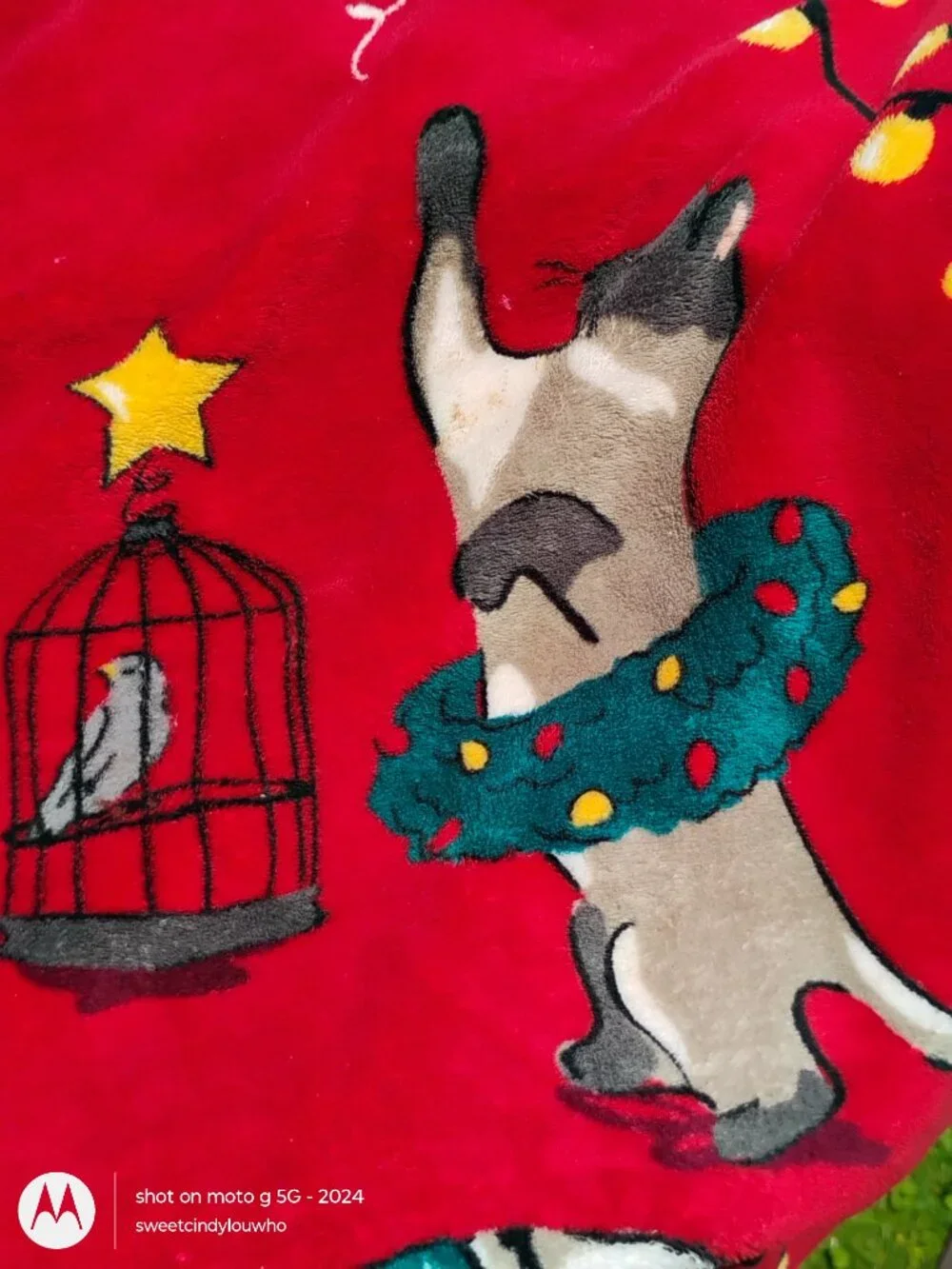Vera Bradley red soft micro plush Christmas Cats holiday blanket 2020 w serial #